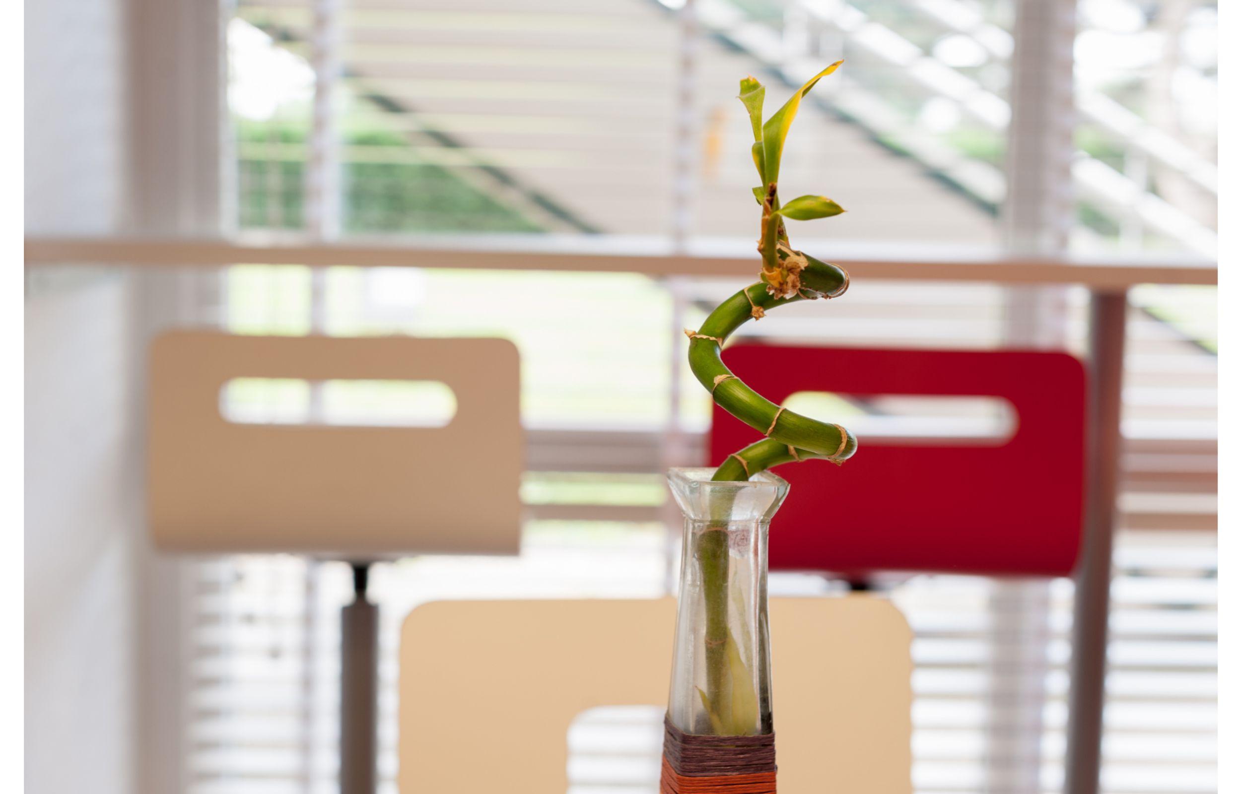 Hotel Premiere Classe Rouen Sud Oissel Saint-Etienne-du-Rouvray Bagian luar foto